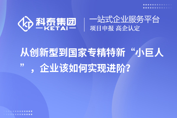 从创新型到国家专精特新“小巨人”，企业该如何实现进阶？