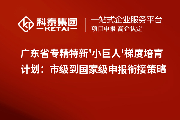 广东省专精特新'小巨人'梯度培育计划：市级到国家级申报衔接策略