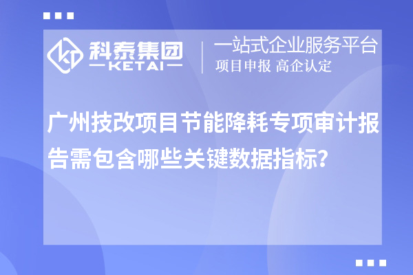 广州技改项目节能降耗专项审计报告需包含哪些关键数据指标？