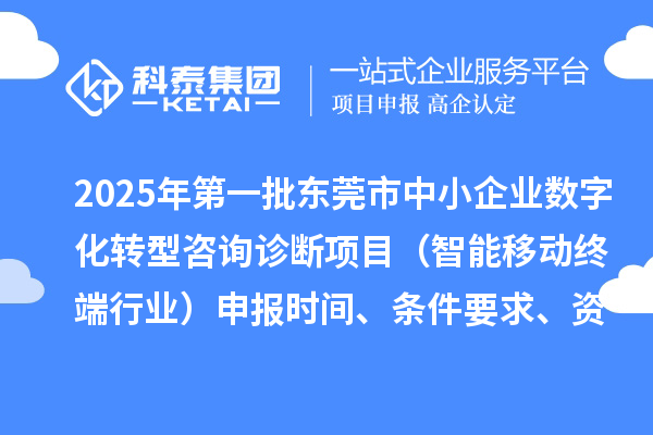 2025年第一批东莞市中小企业数字化转型咨询诊断项目（智能移动终端行业）申报时间、条件要求、资助奖励