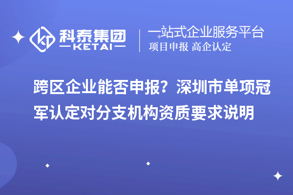 跨区企业能否申报？深圳市单项冠军认定对分支机构资质要求说明