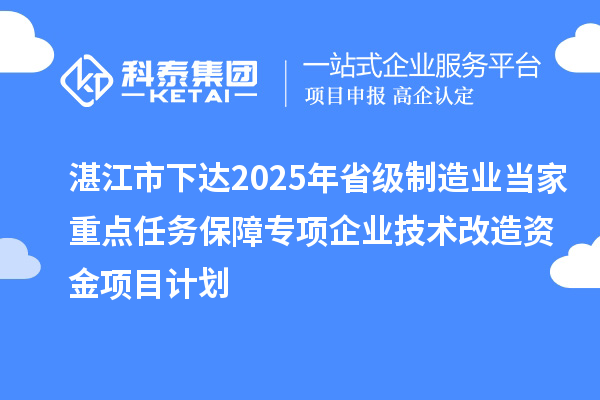 湛江市下达2025年省级制造业当家重点任务保障专项企业技术改造资金项目计划