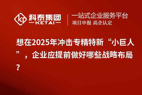 想在2025年冲击专精特新 “小巨人”，企业应提前做好哪些战略布局？