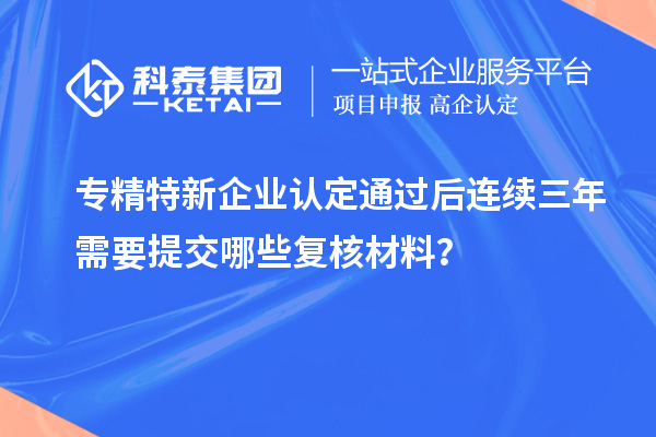专精特新企业认定通过后连续三年需要提交哪些复核材料？