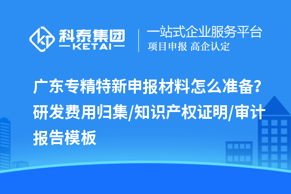 广东专精特新申报材料怎么准备？研发费用归集/知识产权证明/审计报告模板
