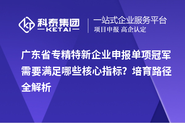 广东省专精特新企业申报单项冠军需要满足哪些核心指标？培育路径全解析