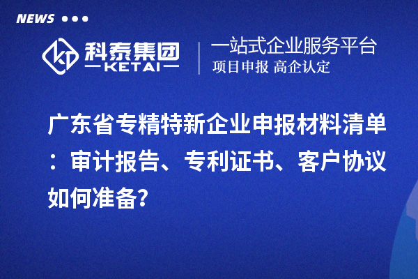 广东省专精特新企业申报材料清单：审计报告、专利证书、客户协议如何准备？