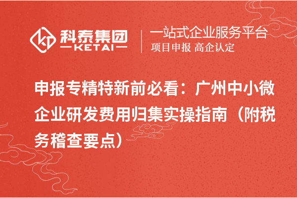 申报专精特新前必看：广州中小微企业研发费用归集实操指南（附税务稽查要点）
