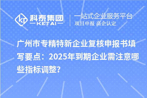 广州市专精特新企业复核申报书填写要点：2025年到期企业需注意哪些指标调整？