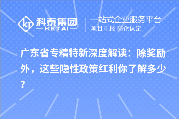 广东省专精特新深度解读：除奖励外，这些隐性政策红利你了解多少？