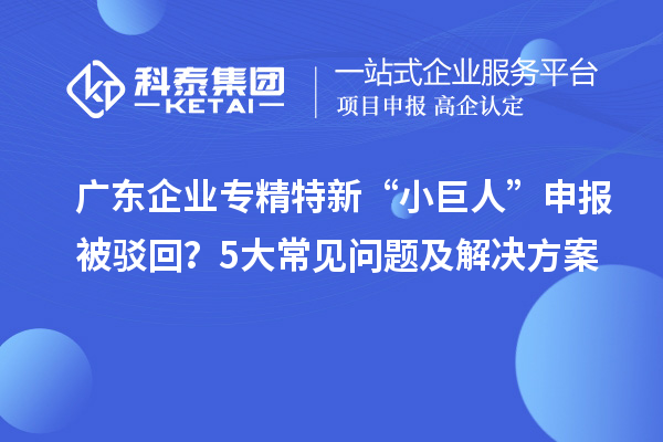 广东企业专精特新“小巨人”申报被驳回？5大常见问题及解决方案