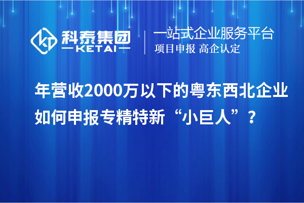 年营收2000万以下的粤东西北企业如何申报专精特新“小巨人”？
