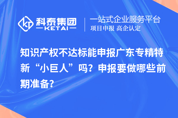 知识产权不达标能申报广东专精特新“小巨人”吗？申报要做哪些前期准备？