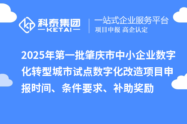 2025年第一批肇庆市中小企业数字化转型城市试点数字化改造项目申报时间、条件要求、补助奖励