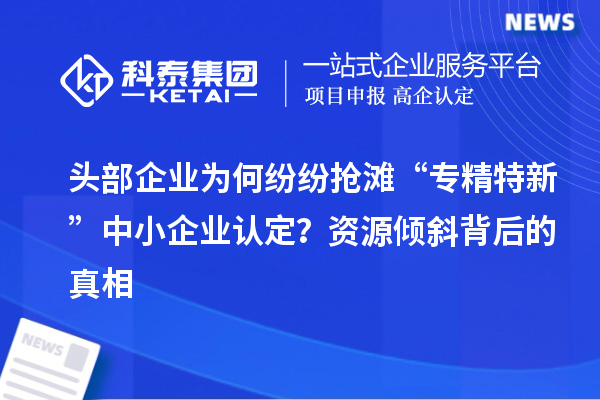 头部企业为何纷纷抢滩“专精特新”中小企业认定？资源倾斜背后的真相