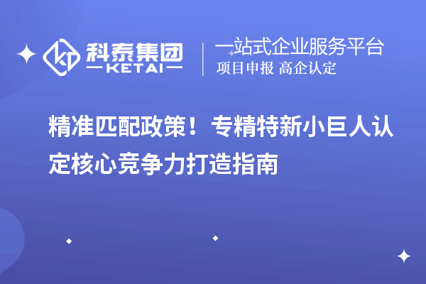 精准匹配政策！专精特新小巨人认定核心竞争力打造指南