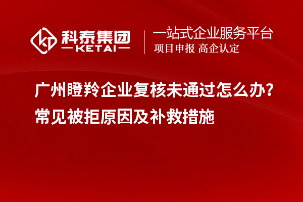 广州瞪羚企业复核未通过怎么办？常见被拒原因及补救措施