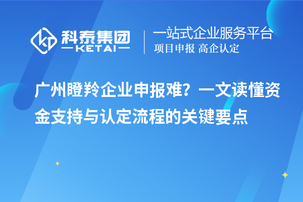 广州瞪羚企业申报难？一文读懂资金支持与认定流程的关键要点