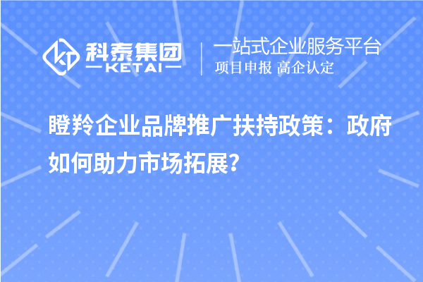瞪羚企业品牌推广扶持政策：政府如何助力市场拓展？