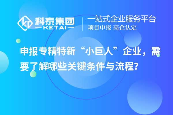 申报专精特新“小巨人”企业，需要了解哪些关键条件与流程？