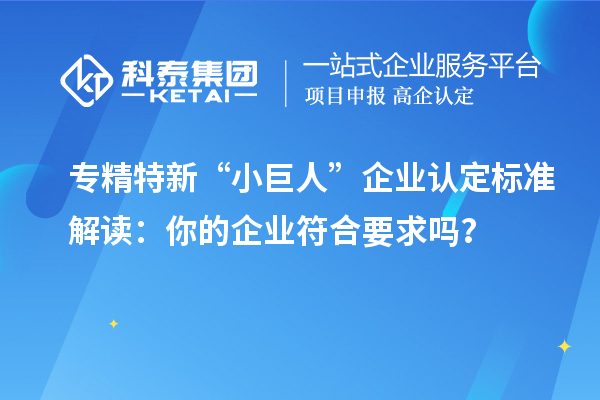专精特新“小巨人”企业认定标准解读：你的企业符合要求吗？