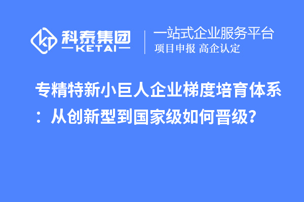 专精特新小巨人企业梯度培育体系：从创新型到国家级如何晋级？