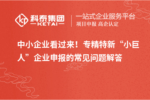 中小企业看过来！专精特新 “小巨人” 企业申报的常见问题解答
