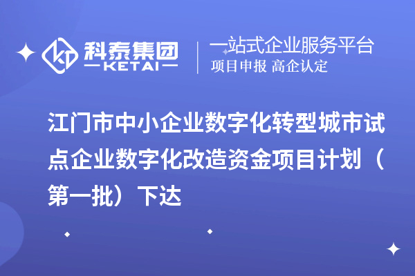 江门市中小企业数字化转型城市试点企业数字化改造资金项目计划（第一批）下达