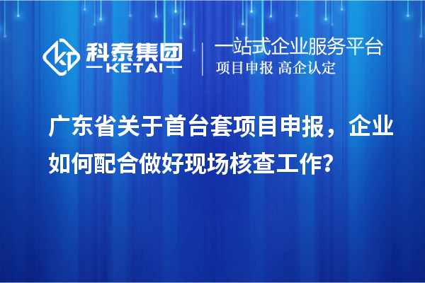 广东省关于首台套项目申报，企业如何配合做好现场核查工作？