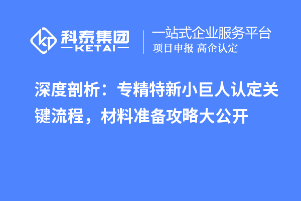深度剖析：专精特新小巨人认定关键流程，材料准备攻略大公开