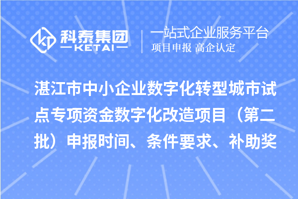 湛江市中小企业数字化转型城市试点专项资金数字化改造项目（第二批）申报时间、条件要求、补助奖励