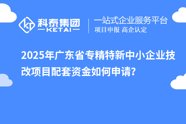 2025年广东省专精特新中小企业技改项目配套资金如何申请？