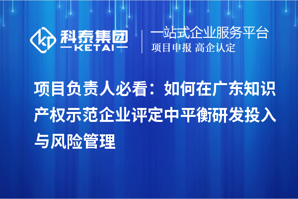 项目负责人必看：如何在广东知识产权示范企业评定中平衡研发投入与风险管理