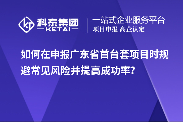如何在申报广东省首台套项目时规避常见风险并提高成功率？