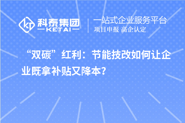“双碳”红利：节能技改如何让企业既拿补贴又降本？