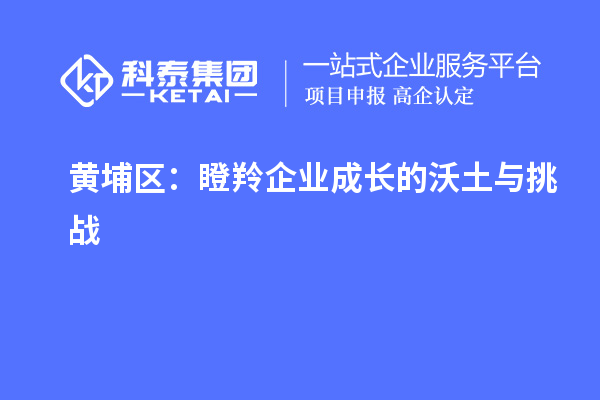 黄埔区：瞪羚企业成长的沃土与挑战