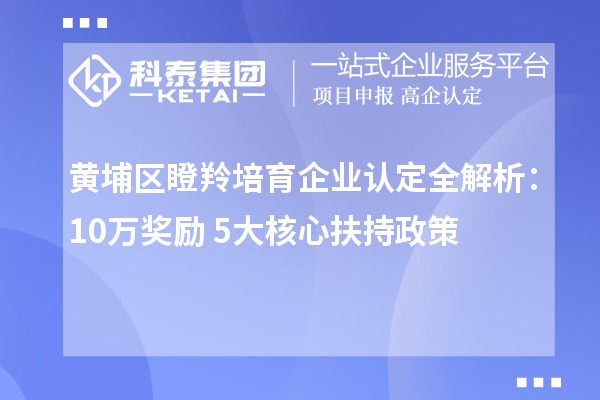 黄埔区瞪羚培育企业认定全解析：10万奖励+5大核心扶持政策