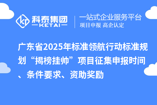 广东省2025年标准领航行动标准规划“揭榜挂帅”项目征集申报时间、条件要求、资助奖励