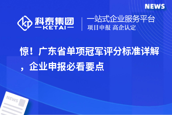 惊！广东省单项冠军评分标准详解，企业申报必看要点