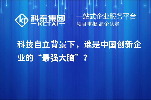科技自立背景下，谁是中国创新企业的“最强大脑”？