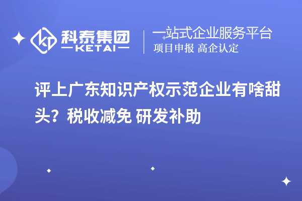 评上广东知识产权示范企业有啥甜头？税收减免+研发补助