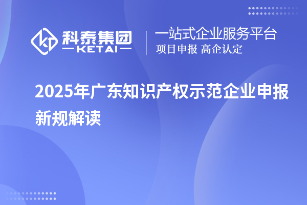 2025年广东知识产权示范企业申报新规解读
