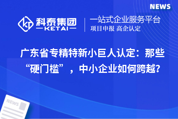 广东省专精特新小巨人认定：那些“硬门槛”，中小企业如何跨越？
