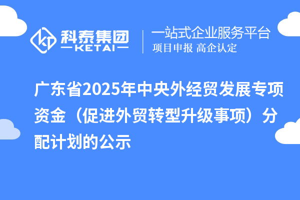 广东省2025年中央外经贸发展专项资金（促进外贸转型升级事项）分配计划的公示