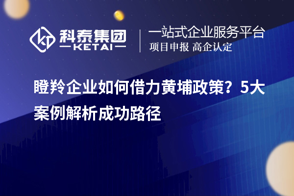 瞪羚企业如何借力黄埔政策？5大案例解析成功路径