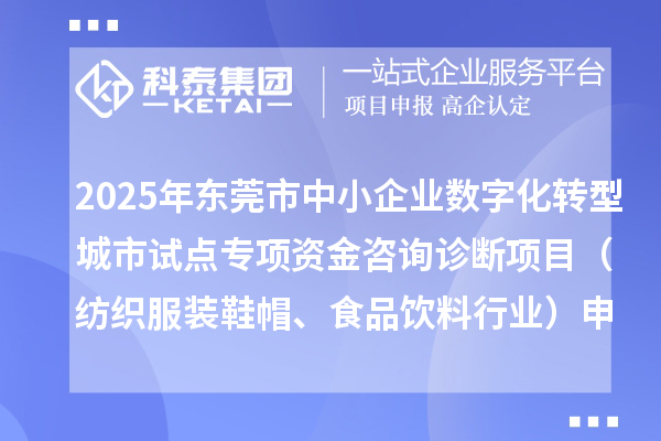 2025年东莞市中小企业数字化转型城市试点专项资金咨询诊断项目（纺织服装鞋帽、食品饮料行业）申报条件要求、资助奖励