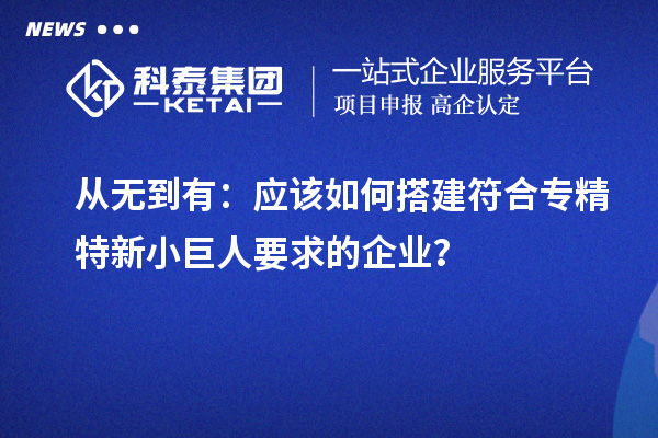 从无到有：应该如何搭建符合专精特新小巨人要求的企业？