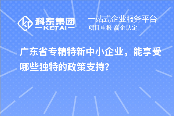 广东省专精特新中小企业，能享受哪些独特的政策支持？