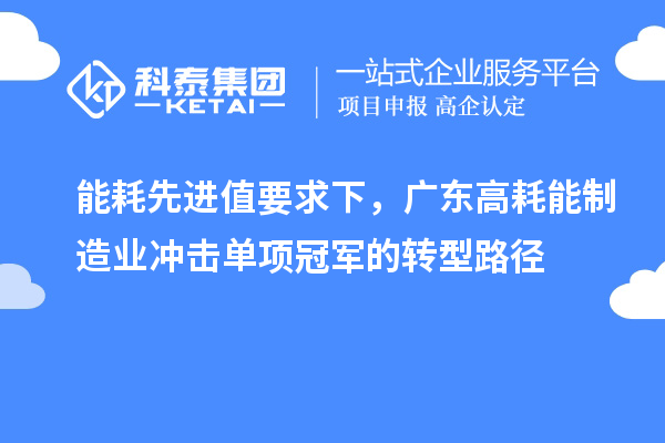 能耗先进值要求下，广东高耗能制造业冲击单项冠军的转型路径