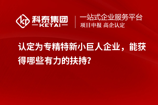 认定为专精特新小巨人企业，能获得哪些有力的扶持？
